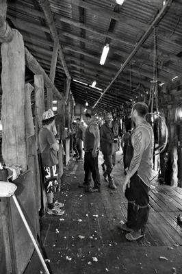 Steam Plains Shearing 022661  © Claire Parks Photography 